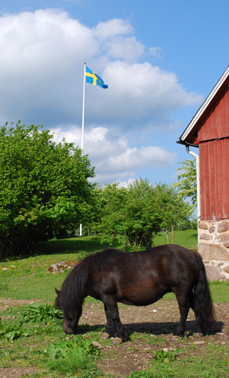 Flagga