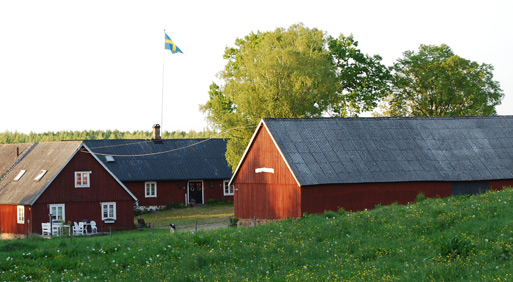 Hus